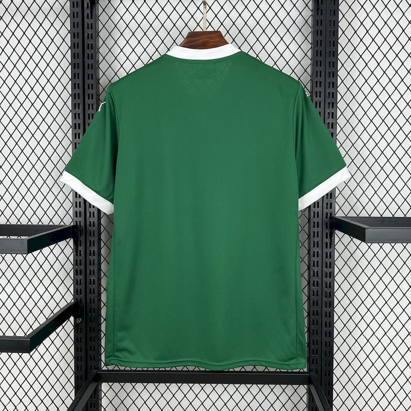 CAMISOLA DO PALMEIRAS 25/26 VERDE